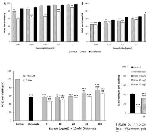 Figure  5.  Inhibitory  effect  of  methanol  extract  of  fruiting  bodies  from  Phellinus  gilvus  on  carrageenan-induced  paw  edema  in  rats
