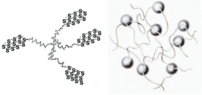 그림 2. Diagram of Phase Structure of SBS   