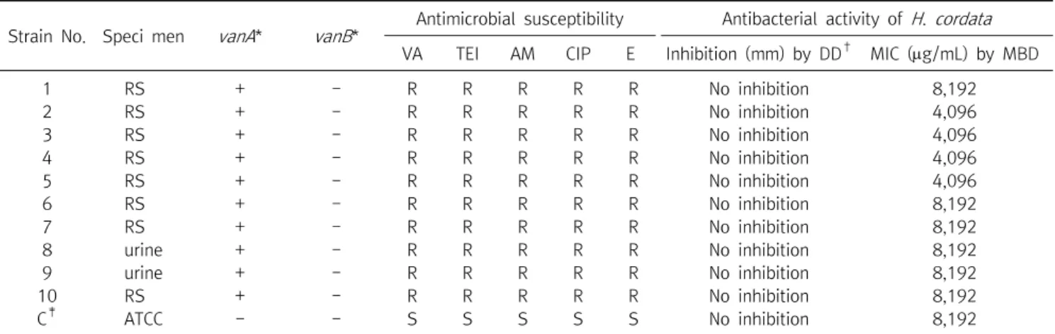 Table  3.  The  characteristics  of  vancomycin-resistant  Enteroocccus  faecium   (VRE)  and  antibacterial  activity  of  Houttuynia  cordata   against VRE