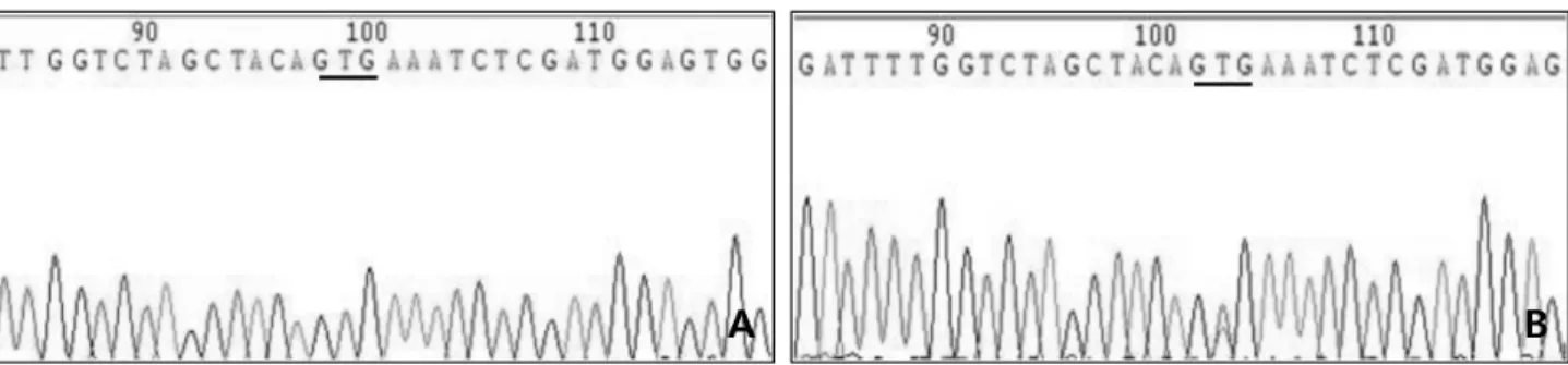 Fig.  4.  Examples  of  sequencing  chromatogram  by  direct  sequencing  were  (A)  wild  type  and  (B)  mutation  of  the  PCR  products  of  B-type  Raf  kinase  ( BRAF ) T1799A .