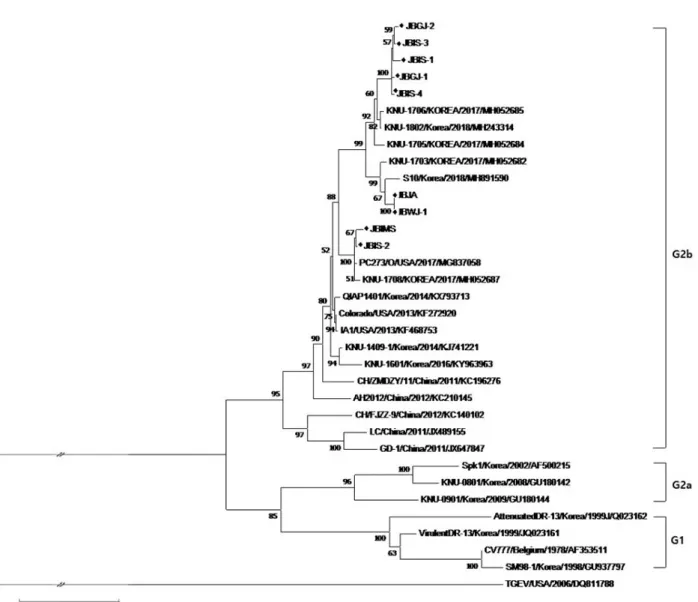 Fig. 2. Phylogenetic analysis based on the nucleotide sequence corresponding to the full-length S gene of PEDV strains
