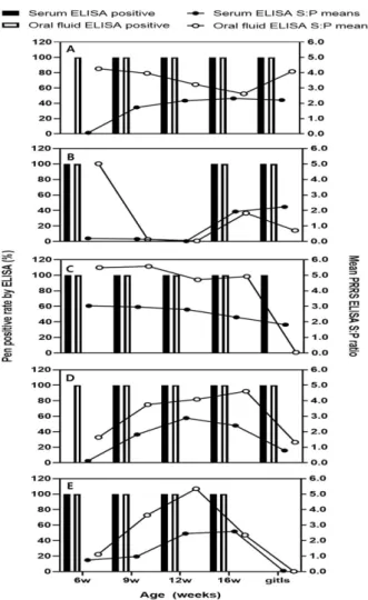 Fig. 2. Mean PRRSV ELISA S/P ratios of 5 farms in 6, 9, 12, 16  weeks of age and gilts from serum and oral fluid samples