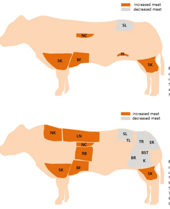 Fig. 1. Changes of Partial meat  distribution in 1A Hanwoo steers  compared with 1+A Female