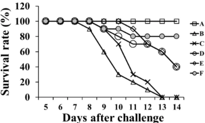 Fig. 4. Survival rates of mice challenged with virulent S. Typhimu- Typhimu-rium in mice (except mice in group A only) immunized with the  vac-cine candidates