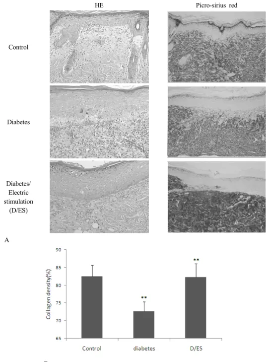 Fig 3. Histologic change and collagen density  in control, diabetic and D/ES groups at day 10 after incision wounding (A)