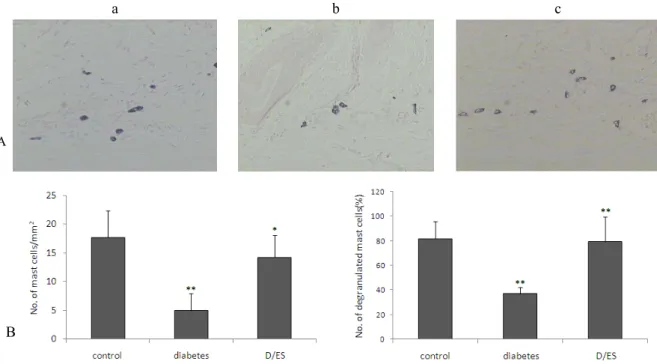 Fig. 4. Mast cells in control (a), diabetic (b) and D/ES group (c). Toluidine blue, pH 0.5