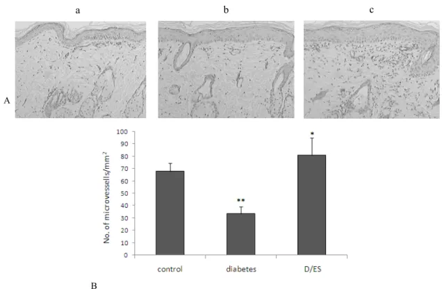 Fig. 6. Microvessel density in control (a), diabetic (b) and D/ES group (c) at day 10  after incision wounding