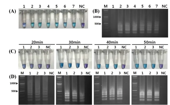 Fig. 1. Optimization of reverse transcription loop-mediated isothermal amplification (RT-LAMP) condition for amplification of the FMDV RNA  with different reaction temperatures (A and B) and reaction times (C and D)