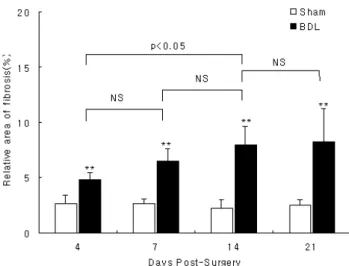 Fig. 3. Comparison of relative area of α-SMA-postitive cells (%) in rats of Sham and BDL rats studied 4, 7, 14, and 21 days  post-surgery
