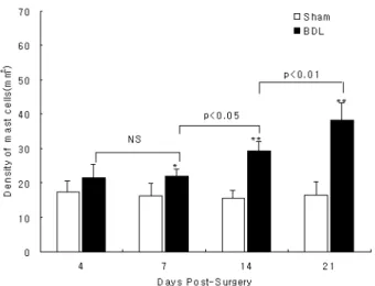 Fig. 7. Western blot analysis of SCF protein expression in rat HSC at different stages of activation(4= 