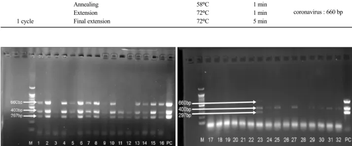 Table 1. PCR program and product size of viral diarrhea pathogens in goat