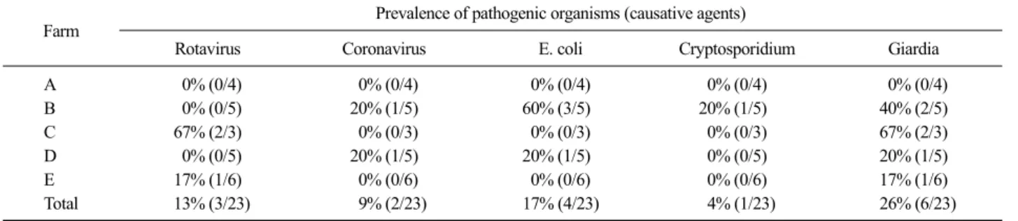 Fig. 1. Reading of rapid test kit for analyzing of pathogenic oragnisms in feces of calf