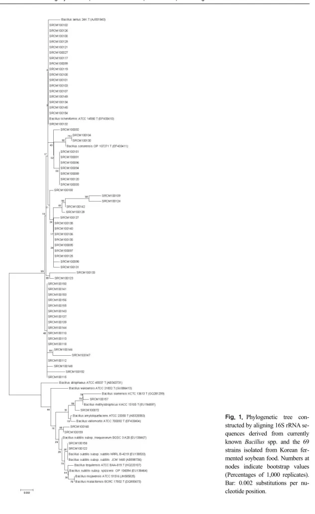 Fig. 1. Phylogenetic tree con- con-structed by aligning 16S rRNA  se-quences derived from currently  known  Bacillus spp