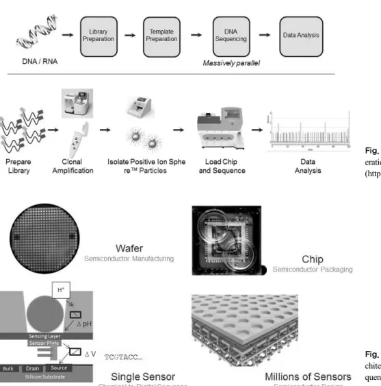 Fig. 5. Sensor, well and chip ar- ar-chitecture of next generation  se-quencing (NGS) analysis (http:// 