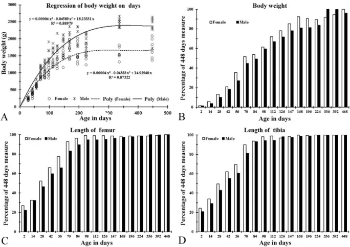 Table 1. Changes in body, femur and tibia weights (g) in postnatal Korean native chicken from hatch to 448 days of age