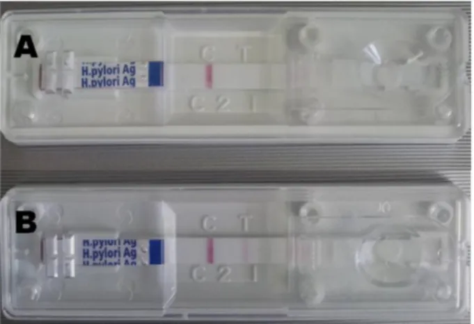 Fig. 1. The results of H. pylori stool antigen (HpSA) test stool  specimens of the dogs infected with H