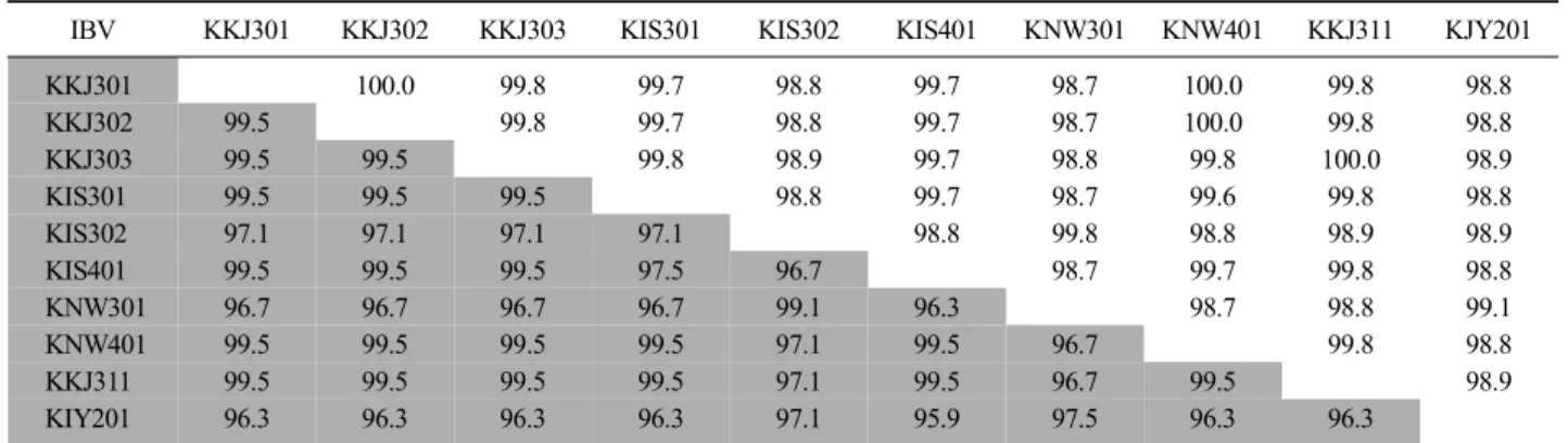 Table 3. Nucleotide and deduced amino acid identities of IBV S1 protein gene sequences 