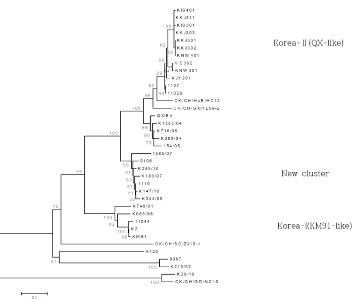 Fig. 2. IBV phylogenetic tree of S1 gene. The tree is based on the sequence of S1 genes from the 10 IBV isolates and the 16 reference strains, and  ClustalW alignment method for S1 nucleotide position 100∼1,080