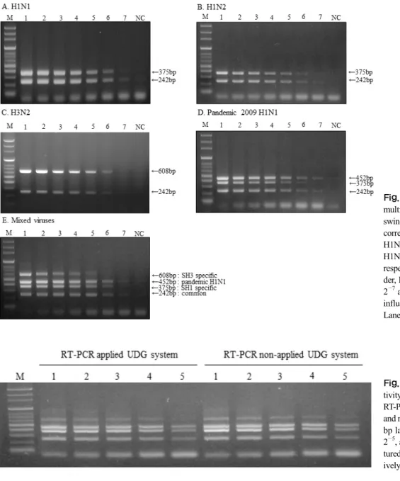 Fig. 2. Sensitivity of one-step  multiplex RT-PCR in detecting  swine influenza virus (SIV)