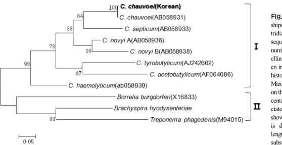 Fig. 3. Phylogenetic relation- relation-ships of C. chauvoei to other  clos-tridia based on flagellin gene  sequences