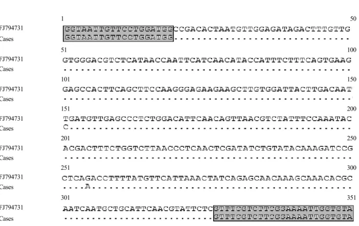 Fig. 4. Nucleotide sequences of amplified partial matrix genes of avian bornavirus in this study