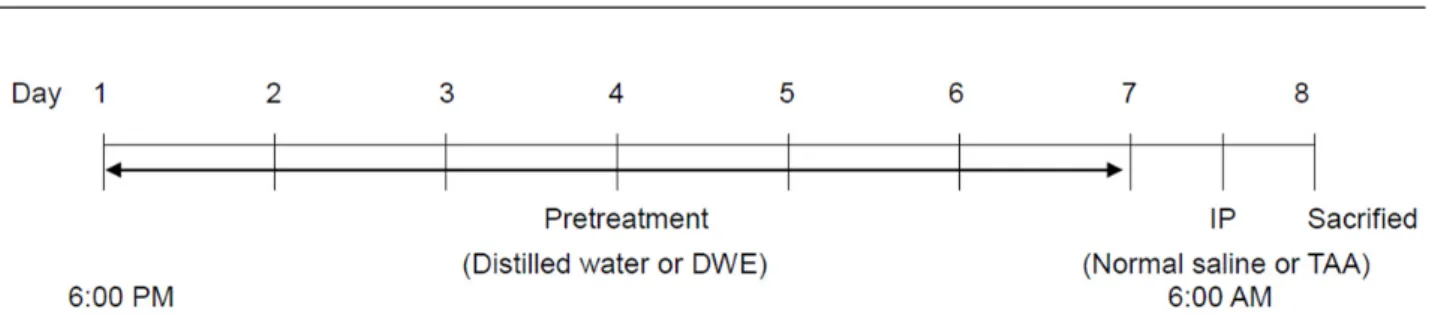 Table 1. Experimental groups of hepatoprotective effects of Dandelion  water extract (DWE) on the liver damage by Thioacetamide (TAA) in  Sprague-Dawley rats