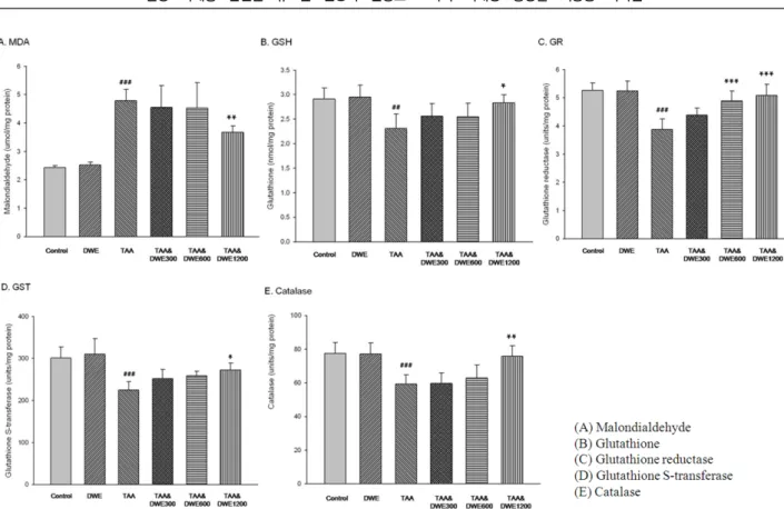 Fig. 5. Effects of DWE on lipid peroxidation and Hepatic GSH content, and antioxidant enzyme activities in TAA-induced hepatic injury