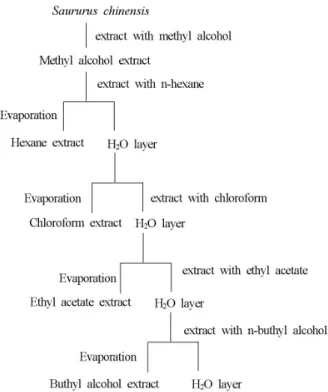 Fig. 1. Scheme of extraction and fractionation of Saururus chinensis.