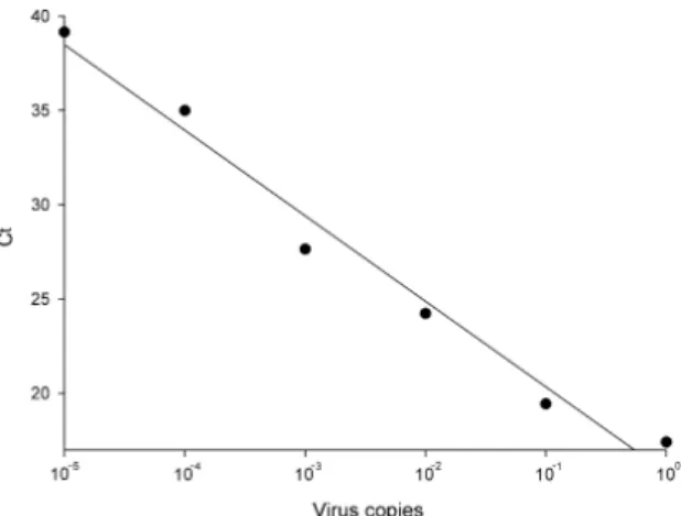Fig. 1. Sensitivity of the real-time RT-PCR assay for the de- de-tection of coxsackievirus B1