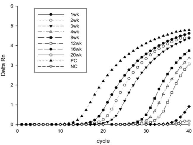 Fig. 4. Inside of modeled carcass burial site by weeks 4.