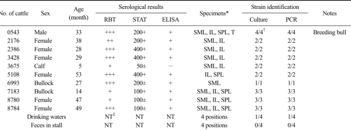 Table 1. Serological results and identification of B. abortus from slaughtered cattle and drinking water