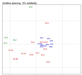 Fig. 1. Cluster analysis and virtual gel image from DiversiLab TM generated fingerprints of the S