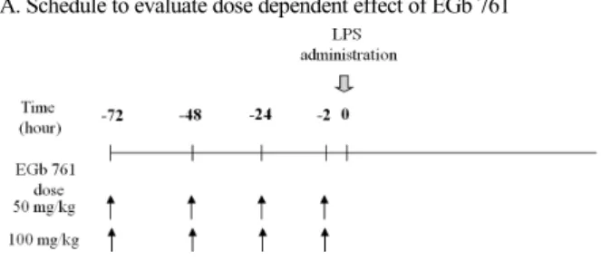 Fig. 1. Experimental schedule to evaluate the effect of EGb 761 on  survival of BALB/c mice after intraperitoneal challenge with  lipopolysaccharide (LPS)