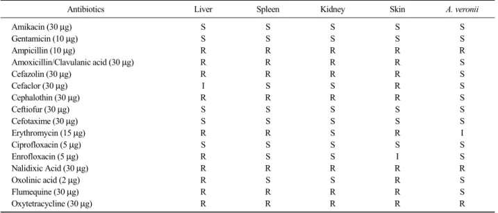 Table 1. Antibiotic susceptibility test for internal organs extracts, skin lesion and A