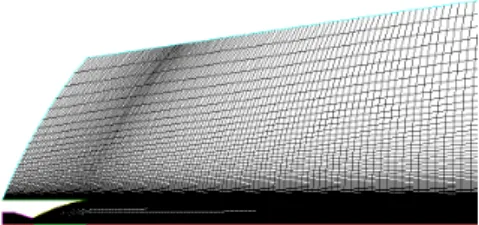 Fig.  1  Computational  Domain  of  Rocket  Nozzle