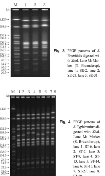 Fig. 3. PFGE patterns of S. 
