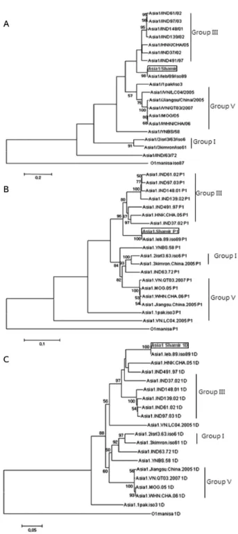 Fig. 1. Phylogenetic trees based on full-length sequences (A), P1 region sequences (B) and 1D region sequences (C) of FMDV Asia1/Shamir and other reference Asia1 strains (IND: India, MOG: Mongolia, CHA: China, Pak: Pakistan, VN: Vietnam, HNK: HongKong, Leb