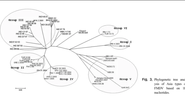 Fig. 3. Phylogenetic tree anal- anal-ysis of Asia types of  FMDV based on 1D  nucleotides.