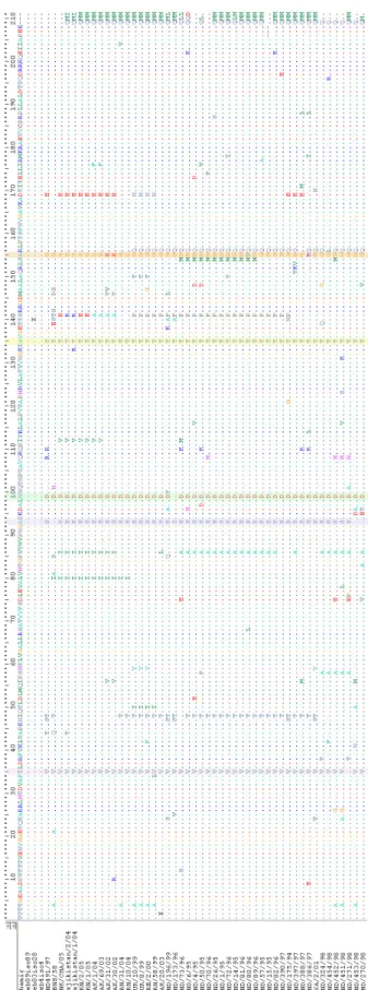 Fig. 4. Alignment of the deduced amino acid sequences of 1D  surface proteins of Asia1/Shamir compared with other  serotype Asia1 FMDV representatives