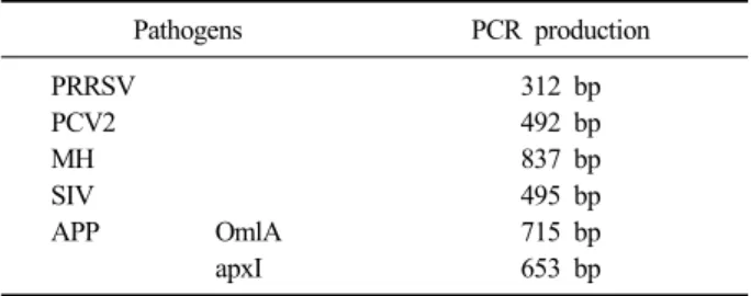 Fig. 1. Detection of PRRSV by PCR. Lane M: 1 kb ladder  lanes 1-10: Field  samples, P: positive.