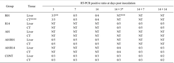 Table 4. Comparison of ARV detection rate using RT-PCR in the liver and cecal tonsil of SPF chickens among groups inoculated either at 1 day  old or 14 days old of age