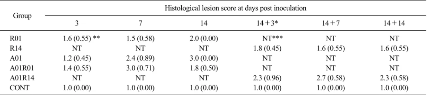 Table 6. Comparison of histopathologic changes of lymphocytic infiltration with necrosis in the liver among groups