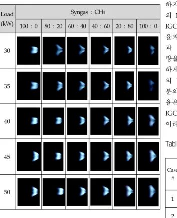 Table  3.  Flame  Images  of  CH 4   and  Syngas