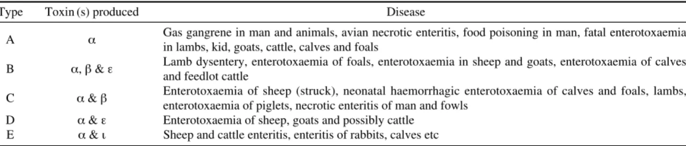 Table 3. Types of Clostridium perfringens responsible for diseases in different animal species 