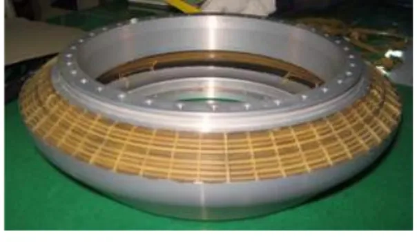Fig.  1.  Flexible  Seal