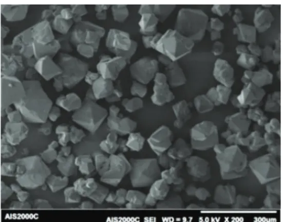 Fig.  3  SEM  images  of  GUDN.