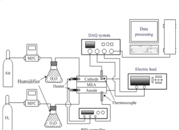 Fig.  1.  Schematic  of  experimental  set-up