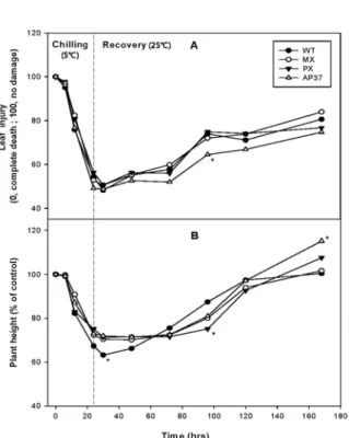 Fig.  1.  Changes  in  (A)  leaf  injury  and  (B)  plant  height  in  wild  type  and  transgenic  rice  lines  during  chilling  and  recovery