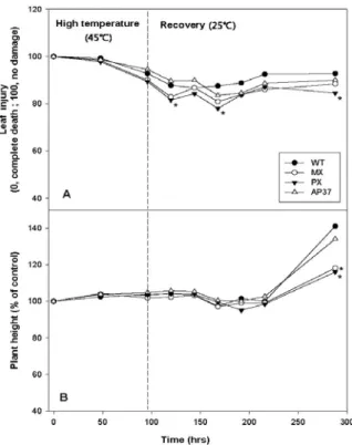 Fig.  3.  Changes  in  (A)  leaf  injury  and  (B)  plant  height  in  wild  type  and  transgenic  rice  lines  during  high  temperature  and  recovery