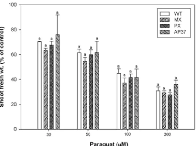 Fig.  9.  Effect  of  paraquat  on  shoot  fresh  weight  in  wild  type  and  transgenic  rice  lines  (parameter  was  recorded  at  5  days  after  treatment)